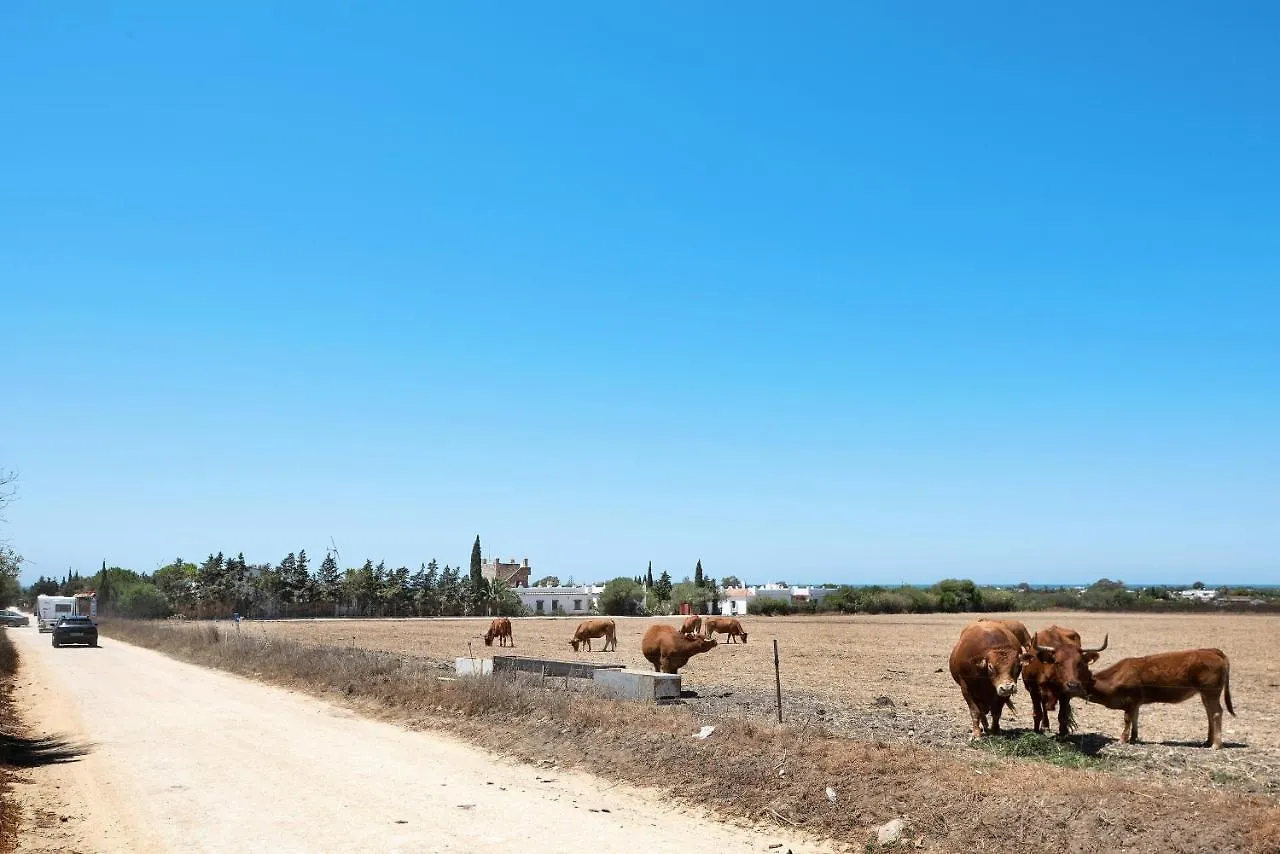 Casa Mora - Vejer, El Palmar Villa Vejer de la Frontera
